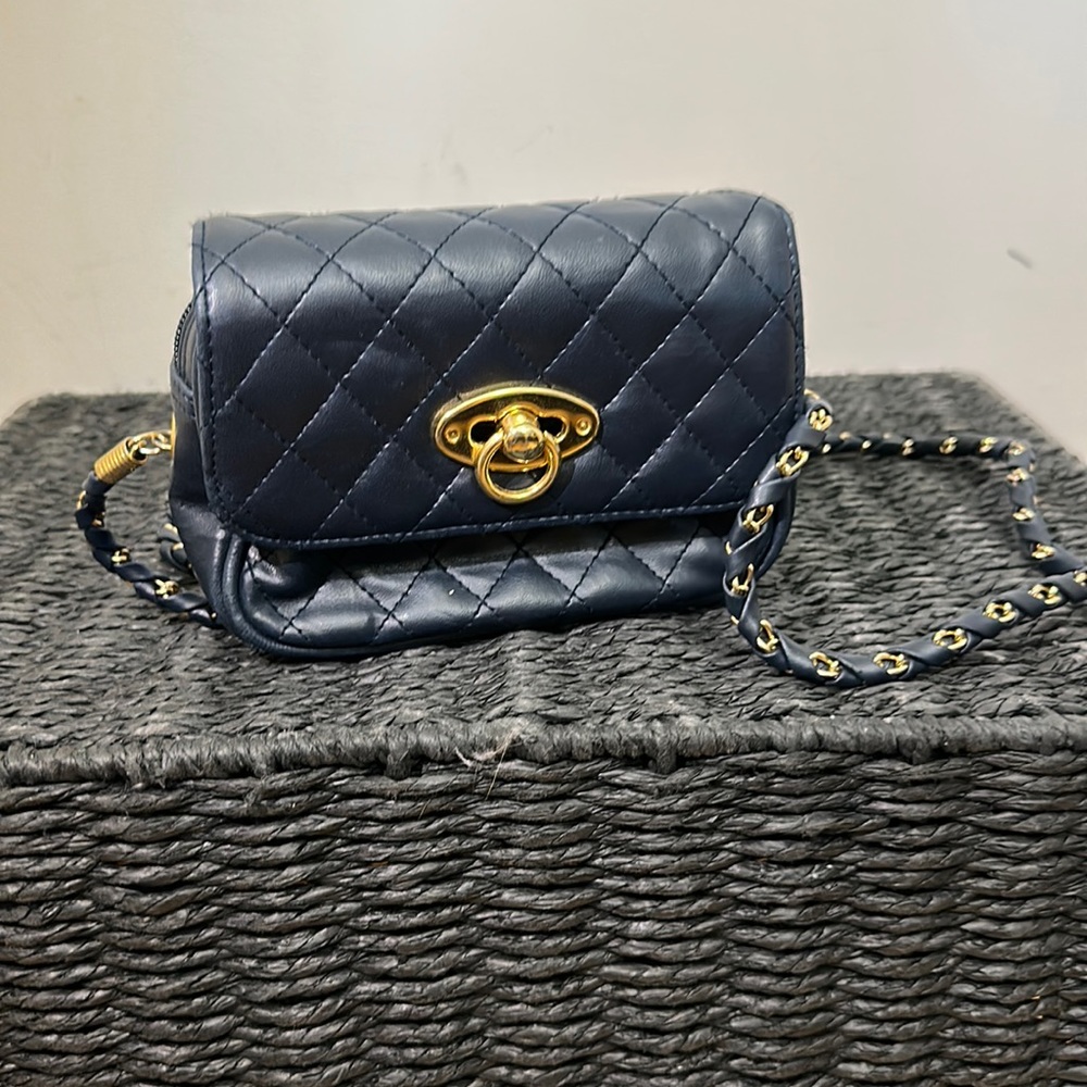 Mini Blue Purse